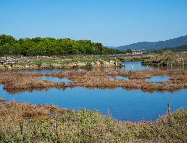 Stagni a Porto Pino, visita il sud ovest Sardegna soggiornando all'Agriturismo Sirimagus