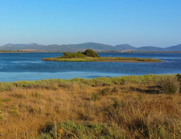 Stagni a Porto Pino, visita il sud ovest Sardegna soggiornando all'Agriturismo Sirimagus