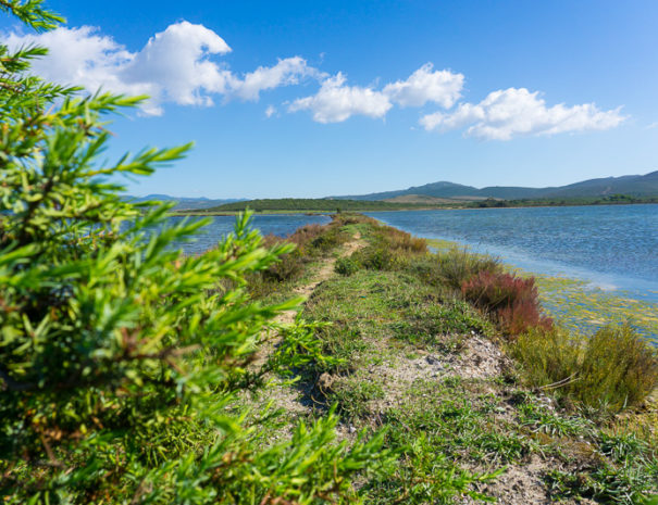 Stagni a Porto Pino, visita il sud ovest Sardegna soggiornando all'Agriturismo Sirimagus