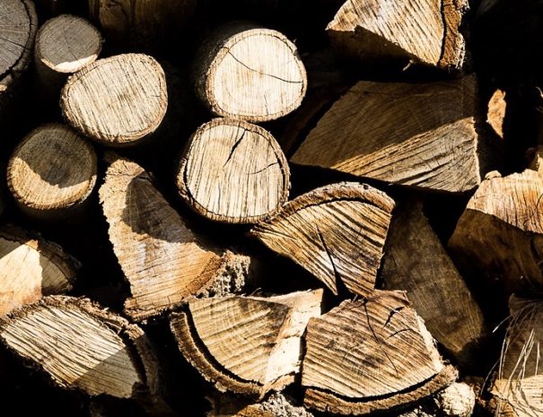 Raccolta della legna all'Agriturismo Sirimagus